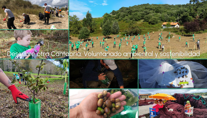 VOLUNTARIADO_AMBIENTAL_CANTABRIA
