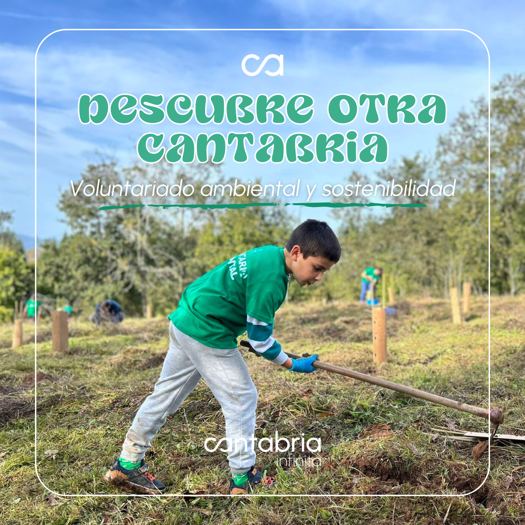 CANTABRIA_ VOLUNTARIADO_AMBIENTAL